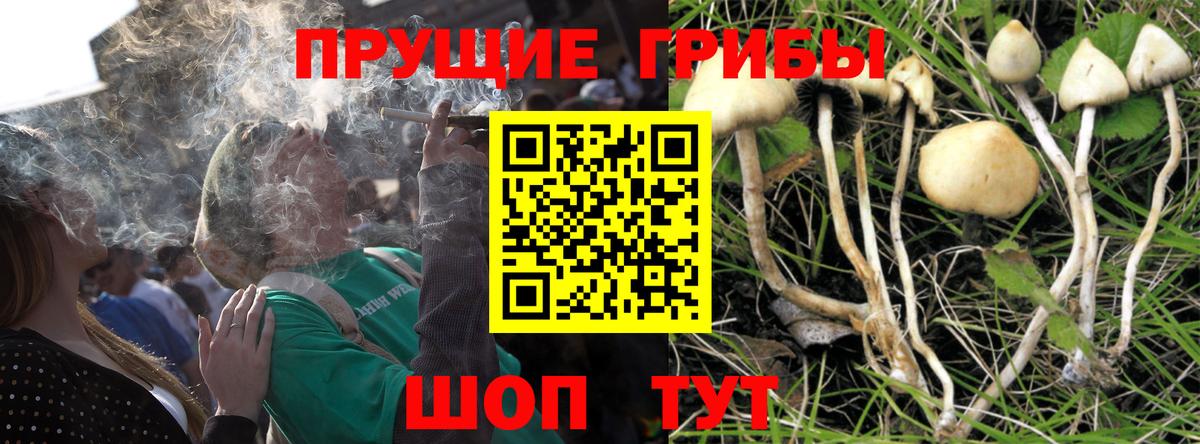 Псилоцибиновые грибы GOLDEN TEACHER Учалы